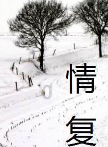 祁连山区三只雪豹夜间一起外出被拍下